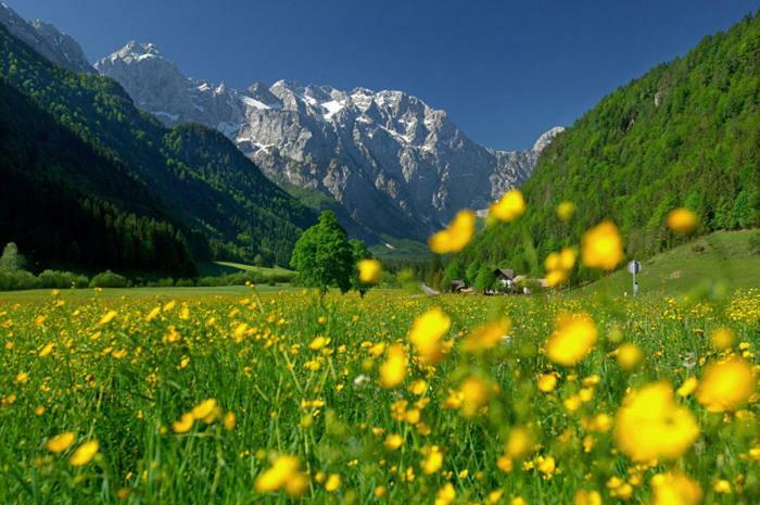 Entire Loft Close To Beautiful Logar Valley Recica ob Savinji المظهر الخارجي الصورة