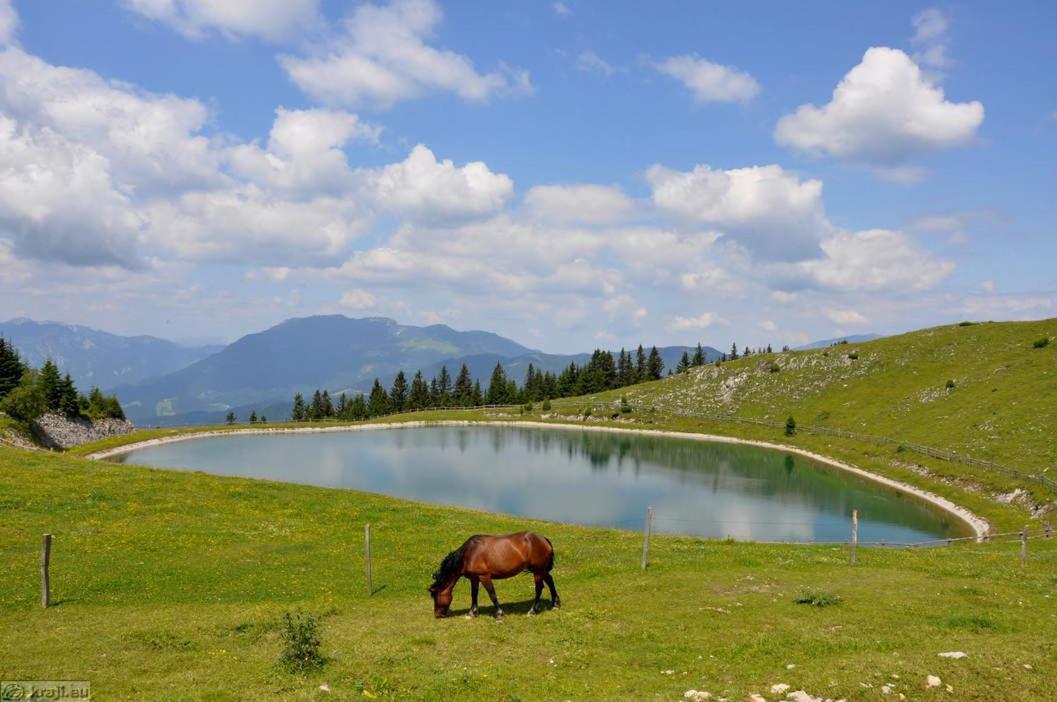 Entire Loft Close To Beautiful Logar Valley Recica ob Savinji المظهر الخارجي الصورة